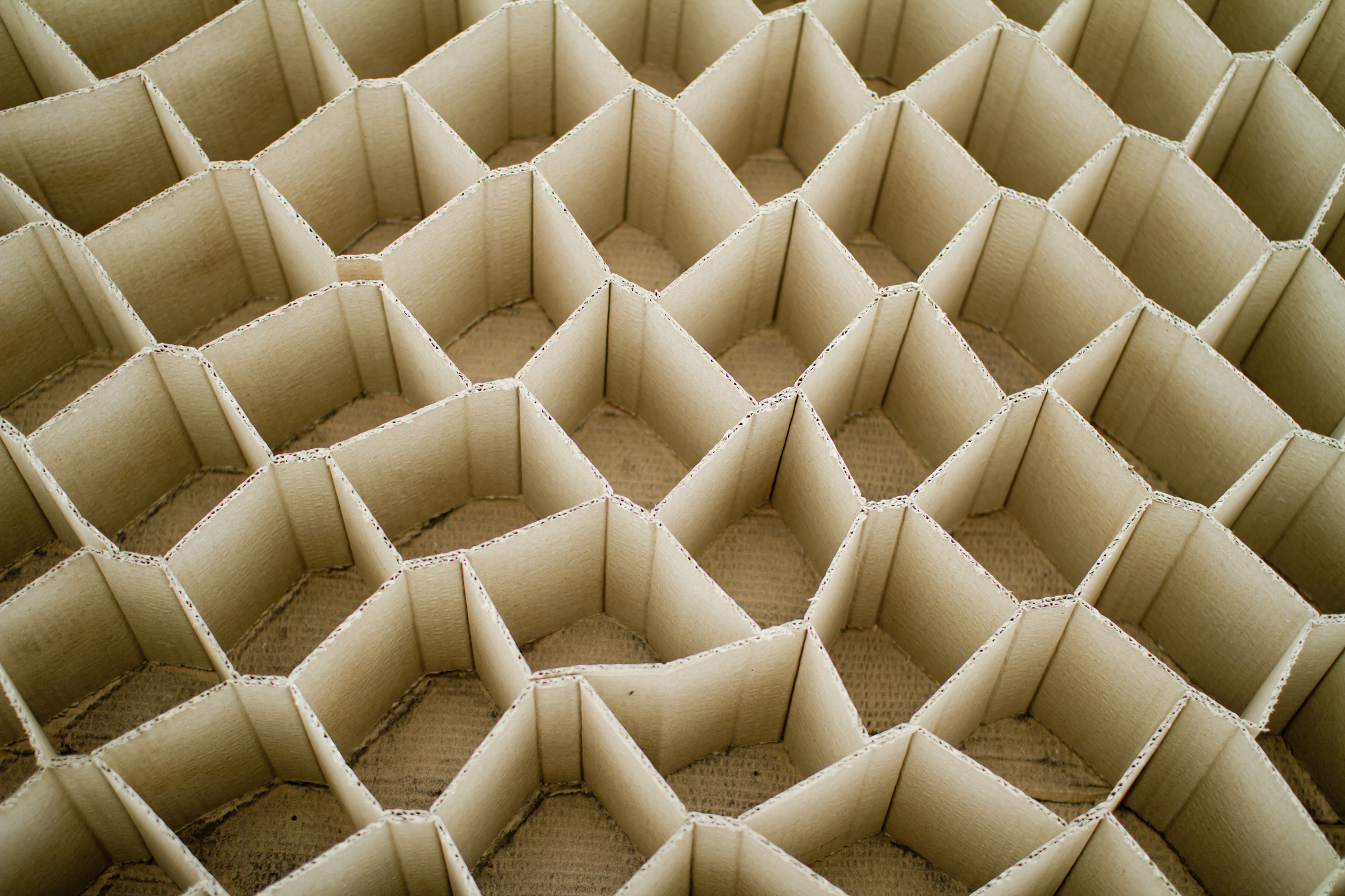 cardboard honeycomb