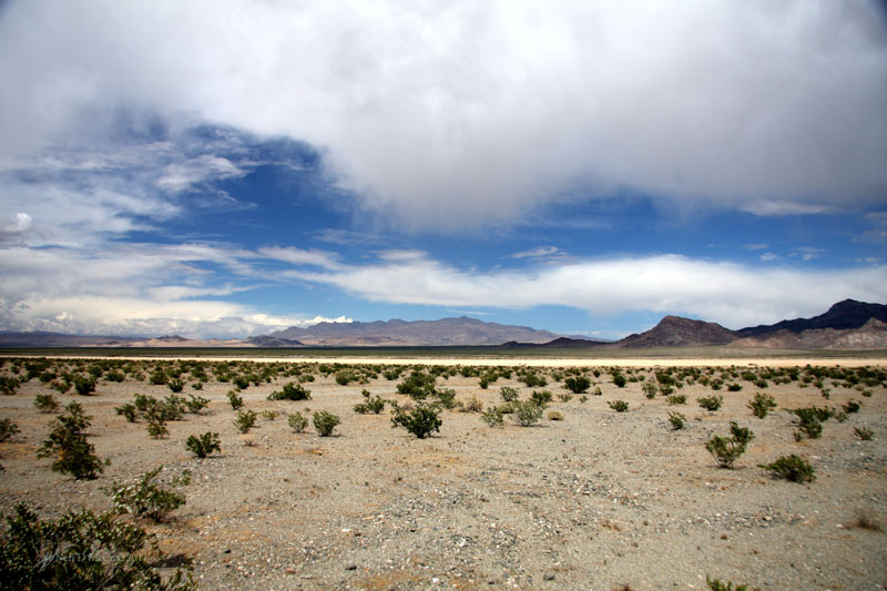 desert plains and mountain