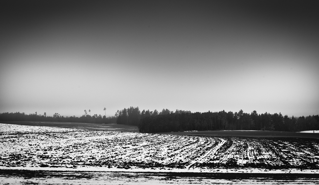 dark farm in winter black and white