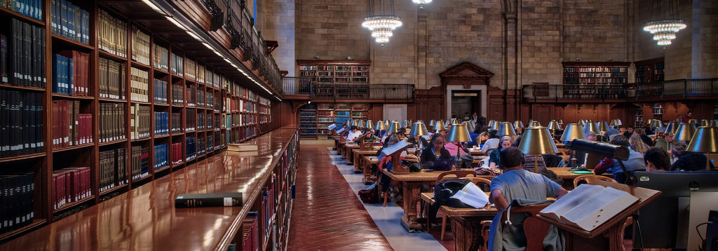 people studying in a library